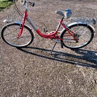 Bicicletta da donna