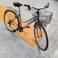 City bike com cestino e Portapacchi 