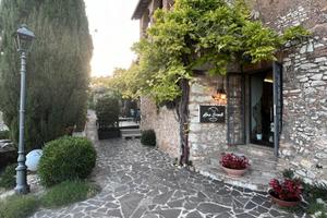 Ristorante / attività di ristorazione