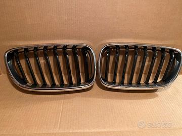 Griglia anteriore BMW