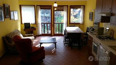 Trilocale ristrutturato