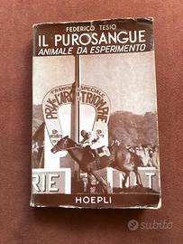 Purosangue animale da esperimento - F. Tesio 1956