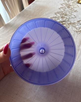 Accessori per criceto