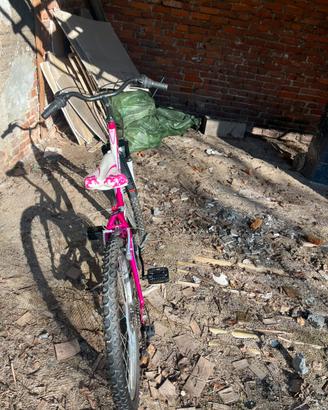 Mountain bike