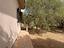 Immagine 24