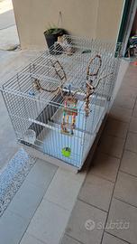 gabbia pappagalli