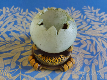 Sfera acquario Harry Potter