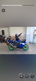 Yamaha R1 anno 2002