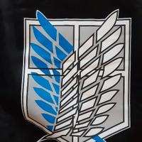 Felpa attack on titans bambino