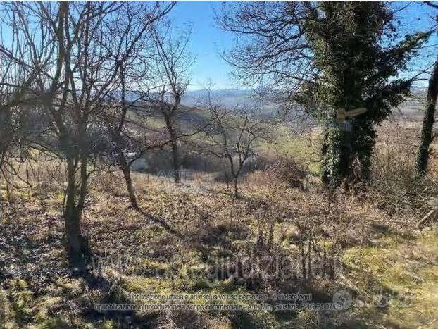 Terreno Agricolo Rosignano Monferrato [A4251935]