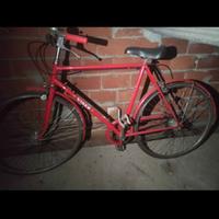 bicicletta viner 