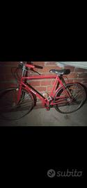bicicletta viner 