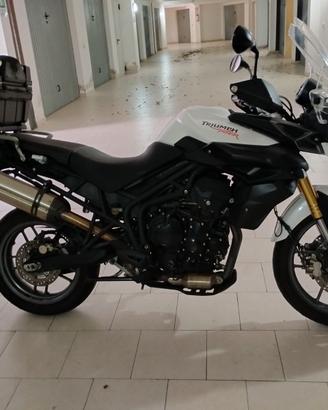 Tiger 800 ABS