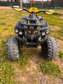 QUAD ELETTRICO