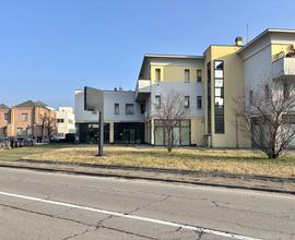 Negozio Parma [MA2509ACG] (Fognano)