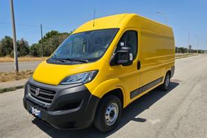 FIAT Ducato 33 2.3 MJT 120CV PM-TM Furgone