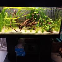 Acquario Wawe 200 lt con mobile e filtro esterno.