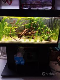 Acquario Wawe 200 lt con mobile e filtro esterno.