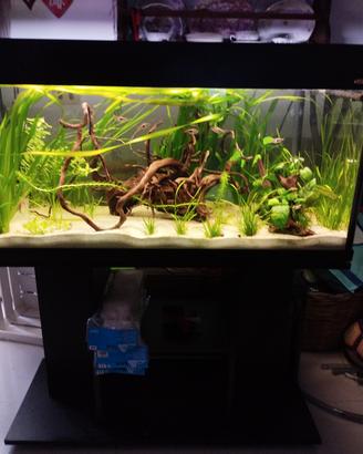 Acquario Wawe 200 lt con mobile e filtro esterno.