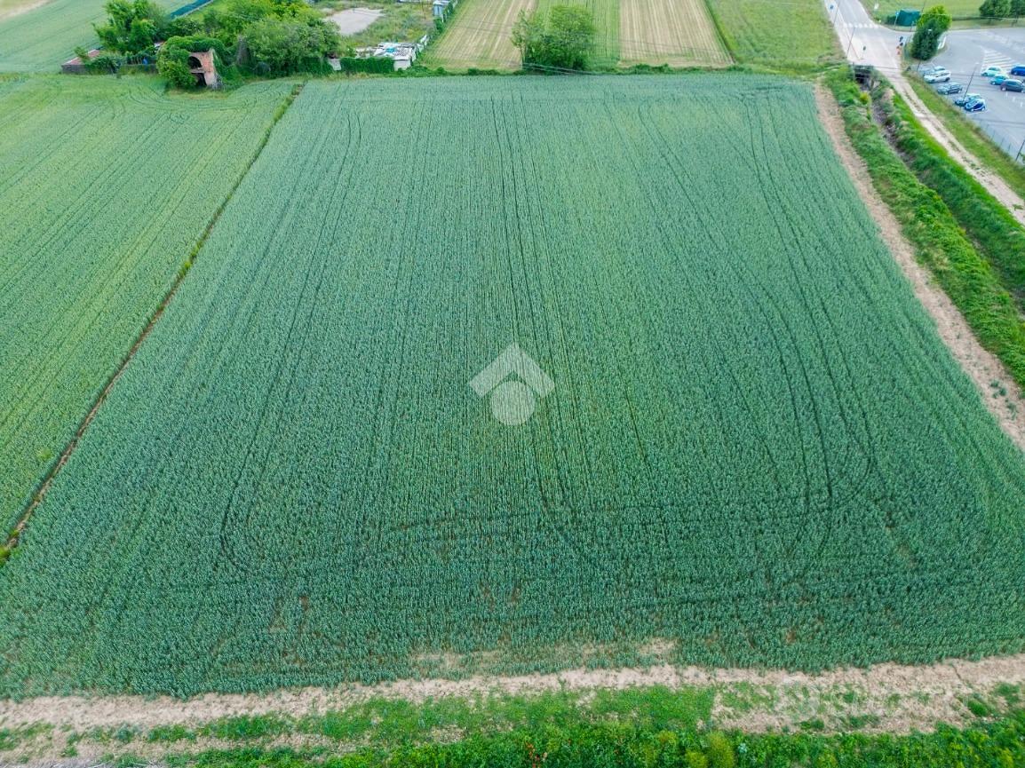 TER. AGRICOLO A TREZZANO ROSA - Vista 4