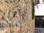 Immagine 11