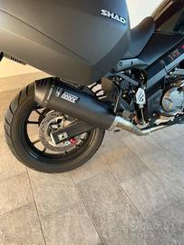 Suzuki v strom