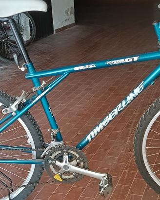 MTB GT