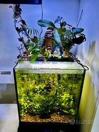 Acqaurio cubo completo 55lt