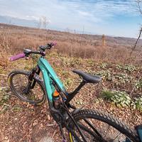 CANNONDALE Moterra Carbon L