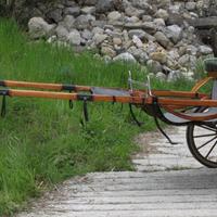 Calesse cavallo