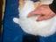 Immagine 5
