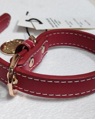 collare per cane taglia piccola in cuoio colorato