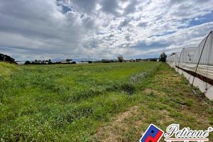 Terreno agricolo - Terracina