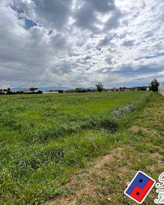 Terreno agricolo - Terracina