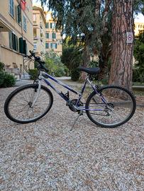 Mountain Bike 26 - Cambio Shimano