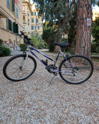 Mountain Bike 26 - Cambio Shimano