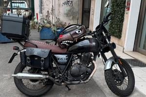 Brixton Cromwell 250