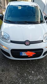 Fiat Panda 1200 a benzina euro 6 d temp nov. 2018