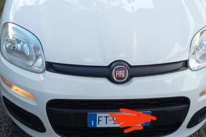 Fiat Panda 1200 a benzina euro 6 d temp nov. 2018