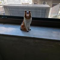 Statuetta di Cane in Ceramica 