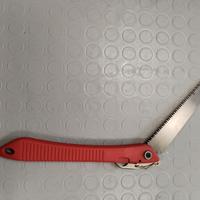 segaccio serramanico