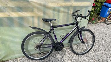 bicicletta in buone condizioni