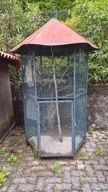 voliera uccelli