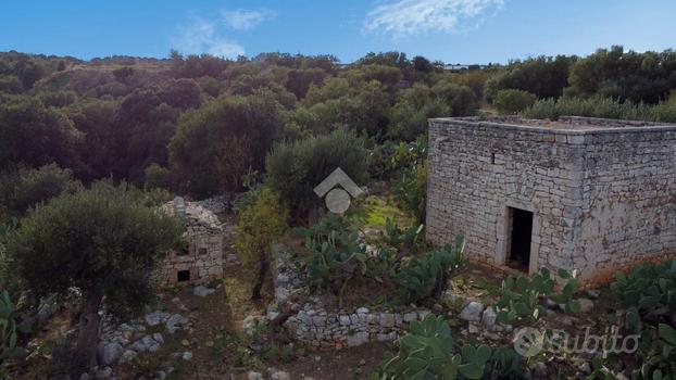 TER. AGRICOLO A POLIGNANO A MARE