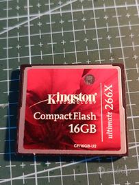 scheda compact flash Kingston 16GB