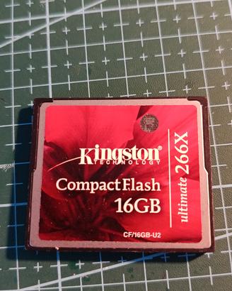 scheda compact flash Kingston 16GB