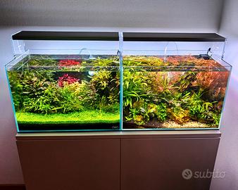 Acquari vetro extrachiaro Ada e Viv 