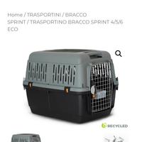 Trasportino Bracco Sprint eco 5