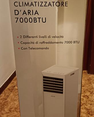 Condizionatore portatile 7000 