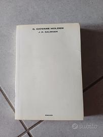 Il giovane Holden di Salinger